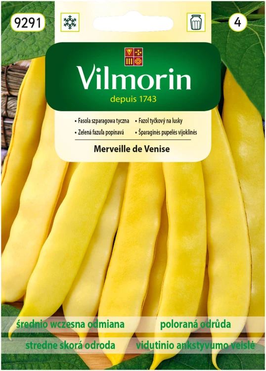 fasola Merveille de Venise.jpg