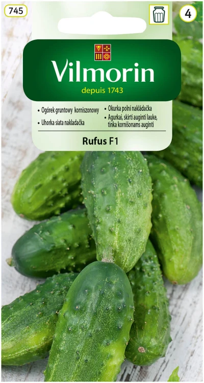 ogórek Rufus.jpg