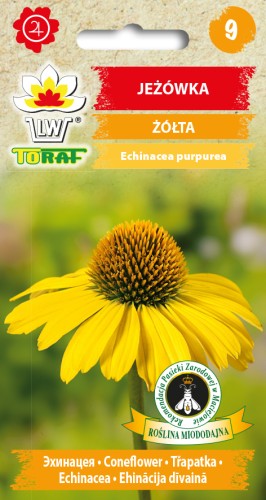 Jeżówka ŻÓŁTA.jpg