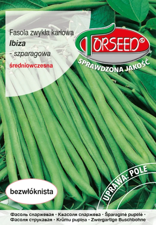 Fasola szparagowa Ibiza.jpg