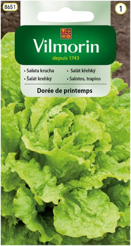 sałata Doree de printemps.jpg