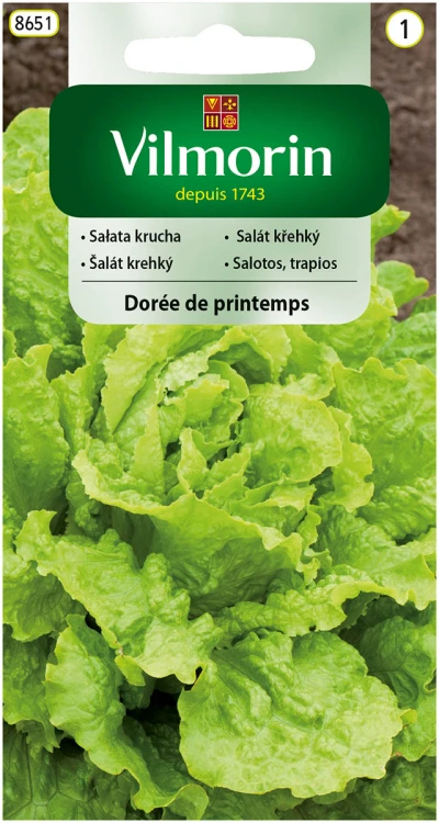 sałata Doree de printemps.jpg