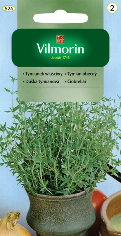 tymianek.jpg