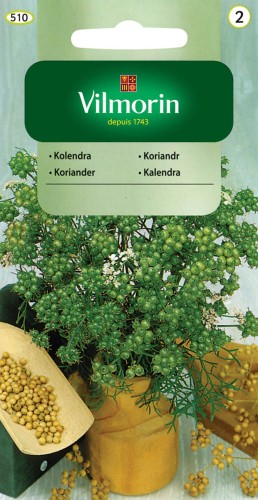 kolendra.jpg