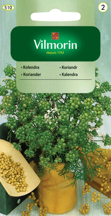 kolendra.jpg