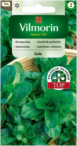 roszponka Gala.jpg
