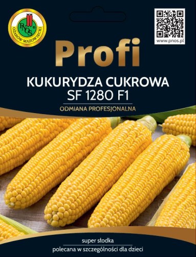kukurydza sf1280.JPG