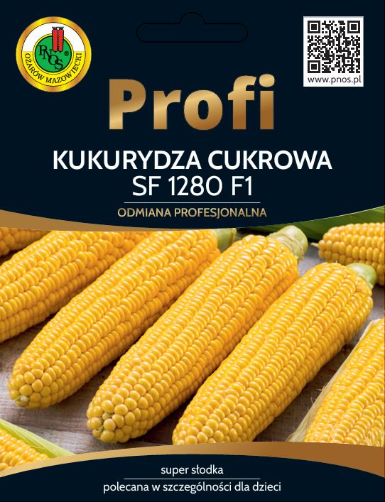 kukurydza sf1280.JPG
