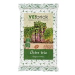 YEbrick-ostre-trio.jpg