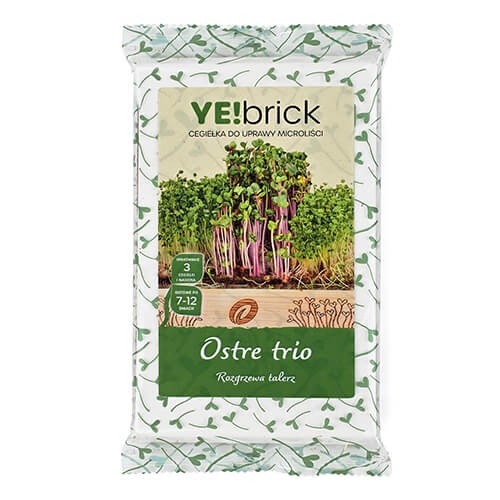 YEbrick-ostre-trio.jpg