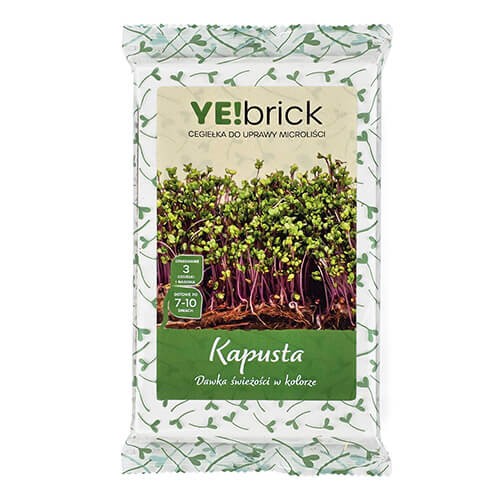 YEbrick-kapusta.jpg