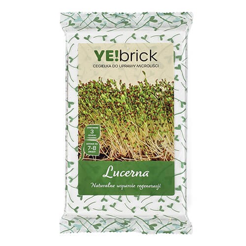 YEbrick-lucerna.jpg