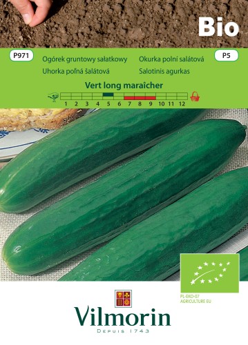 ogórek Vert long maraicher.jpg