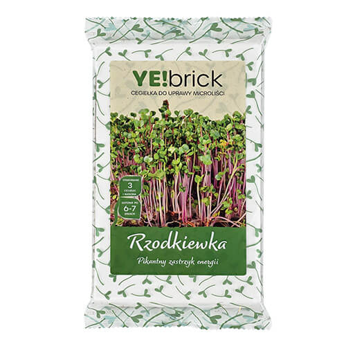 YEbrick-rzodkiewka-china-rose.jpg