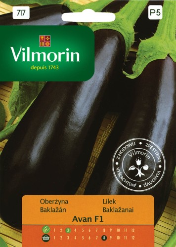 oberżyna Avan.jpg