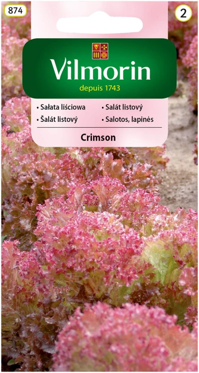 sałata Crimson.jpg