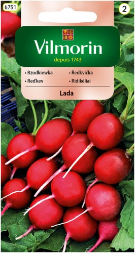 rzodkiewka Lada.jpg