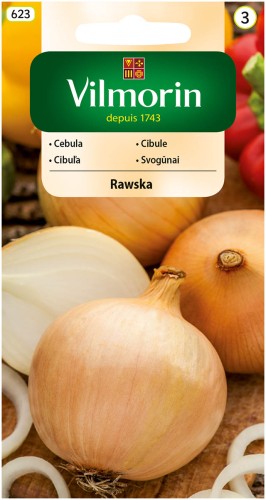 cebula Rawska.jpg