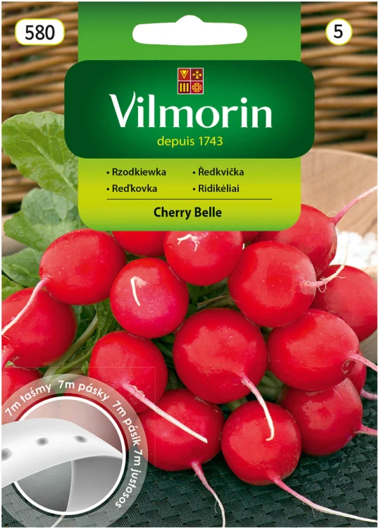 rzodkiewka Cherry Belle na taśmie.jpg