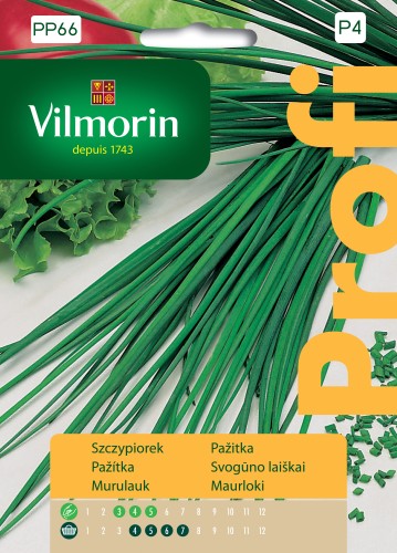 szczypiorek Biggy.jpg