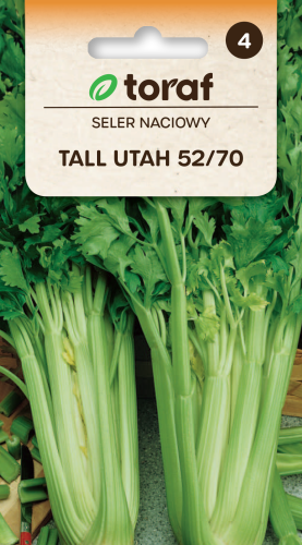 Seler Tall Utah.png