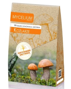 Grzybnia KOŹLARZE 120ml Mycelium