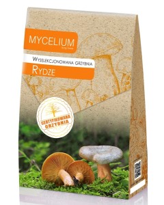 Grzybnia RYDZE 120ml Mycelium