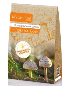 Grzybnia CZUBAJKA KANIA 120ml Mycelium