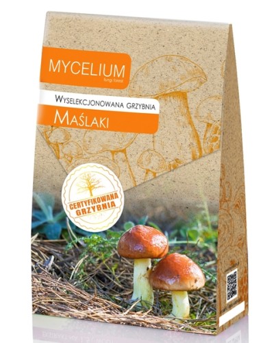 120ml grzybnia Maslaki.jpg