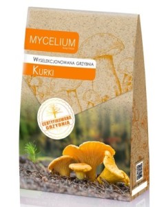 Grzybnia KURKI 120ml Mycelium
