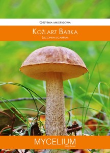Grzybnia mikoryzowa KOŹLARZ BABKA 60ml Mycelium