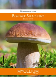 Grzybnia mikoryzowa BOROWIK SZLACHETNY 60ml Mycelium