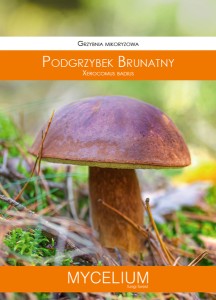 Grzybnia mikoryzowa PODGRZYBEK BRUNATNY 60ml Mycelium