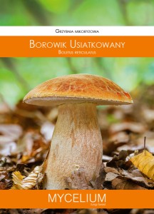Grzybnia mikoryzowa BOROWIK USIATKOWANY 60ml Mycelium