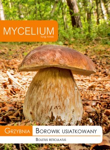 Grzybnia BOROWIK USIATKOWANY 10g Mycelium