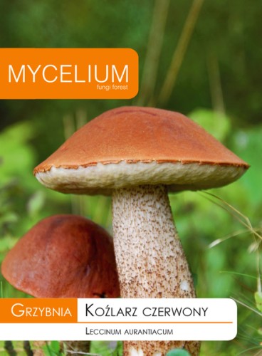 10g kozlarz czerwony.jpg