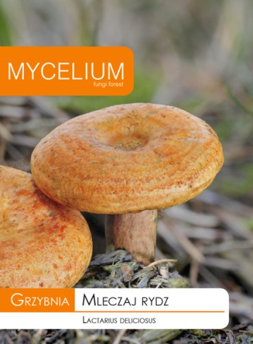 10g mleczaj rydz.jpg