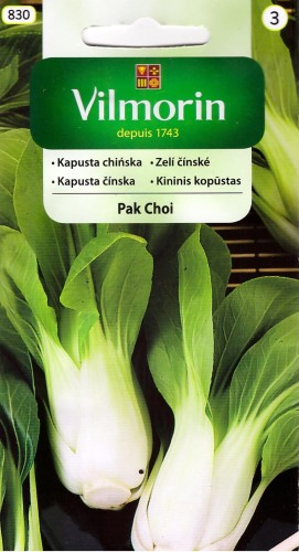kapusta pak choi vil.jpg