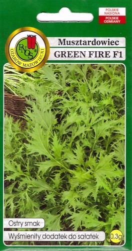 musztardowiec green fire pnos.jpg