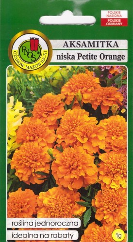 aksamitka petite orange pnos.jpg