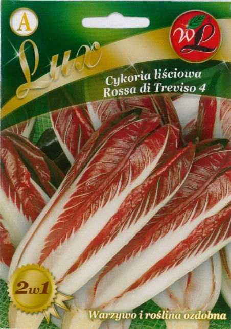 Cykoria-lisciowa-Rossa-di-Treviso-4.webp