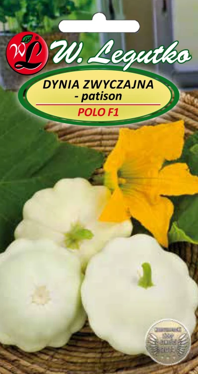 Dynia-zwyczajna-patison-Polo.webp
