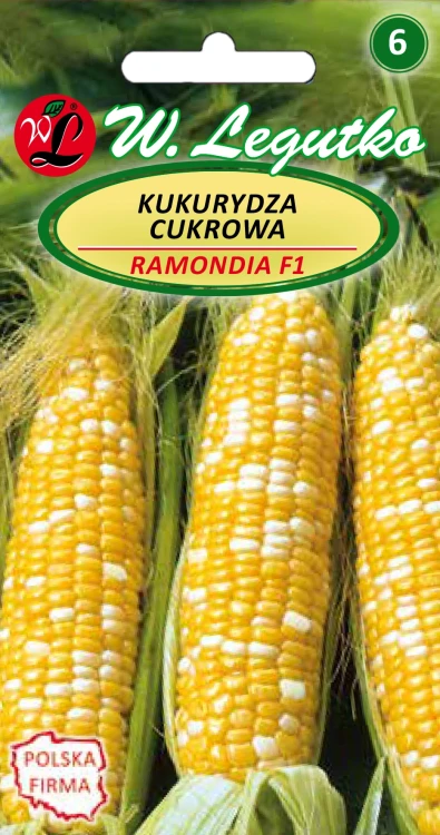 kukurydza-ramondia.webp