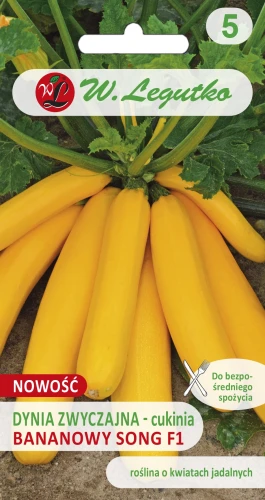 Dynia-cukinia-bananowy-song.webp