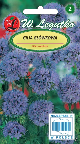 Gilia-glowkowa.webp