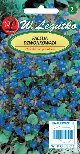 Facelia-dzwonkowata.webp