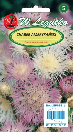 Chaber-amerykanski-rozowy.webp