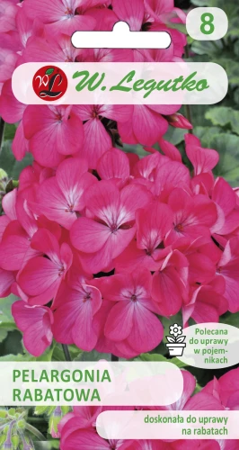 Pelargonia-rabatowa-różowa.webp