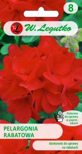 pelargonia-rabatowa-czerwona.webp