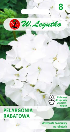Pelargonia-rabatowa-biała.webp